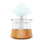 Rain Cloud Air Humidifier