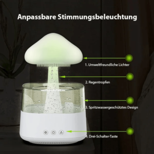 Rain Cloud Air Humidifier